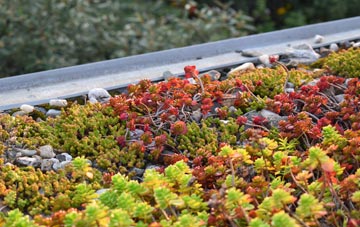 the cost of Llandyfaelog green roof installation