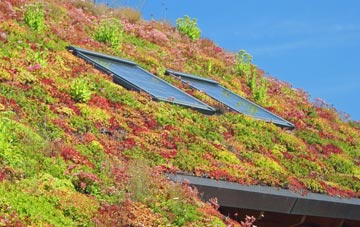 Llandyfaelog living roof systems